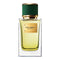 Dolce & Gabbana Velvet Vetiver Eau de Parfum 100ml Spray