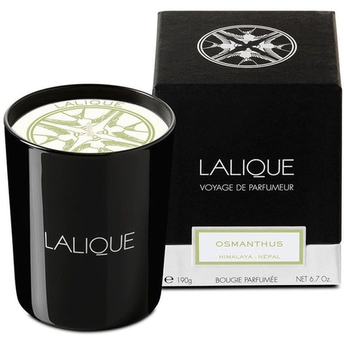 Lalique Candle 190g - Osmanthus Himalaya