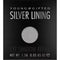 Young & Gifted Eyeshadow Refill 1.5g - Silver Lining
