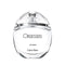 Calvin Klein Obsessed for Women Eau de Parfum 100ml Spray