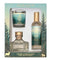 Durance Provence France Under The Pine Tree Gift Set 75g Candle + 100ml Room Spray + 100ml Diffuser