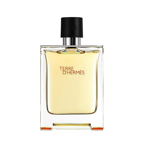 Hermès Terre d'Hermès Eau de Toilette 200ml Spray